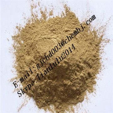 Hedgehog Fungus Powder